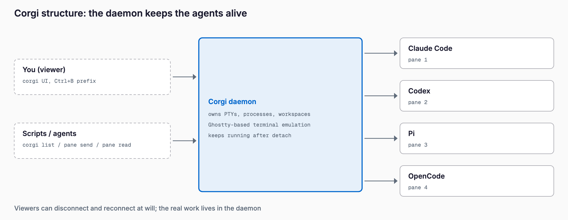 Diagram: the viewer and the CLI send commands to the Corgi daemon, which keeps the Claude Code, Codex, Pi and OpenCode panes running