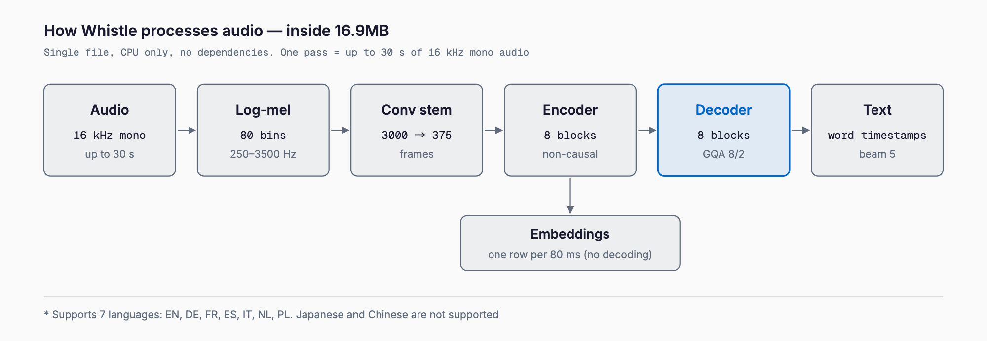 Whistle's pipeline: up to 30 s of 16 kHz mono audio → 80-bin log-mel → conv stem (3000→375 frames) → 8-block encoder → 8-block decoder (GQA) → text with word timestamps; encoder output is also available as one embedding per 80 ms.